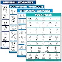 Palace Learning 4 Pack - Dumbbell Workouts + Bodyweight Workouts + Stretching Exercises + Yoga - Set of 4 Workout Charts (18”