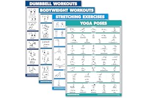 Palace Learning 4 Pack - Dumbbell Workouts + Bodyweight Workouts + Stretching Exercises + Yoga - Set of 4 Workout Charts (18”