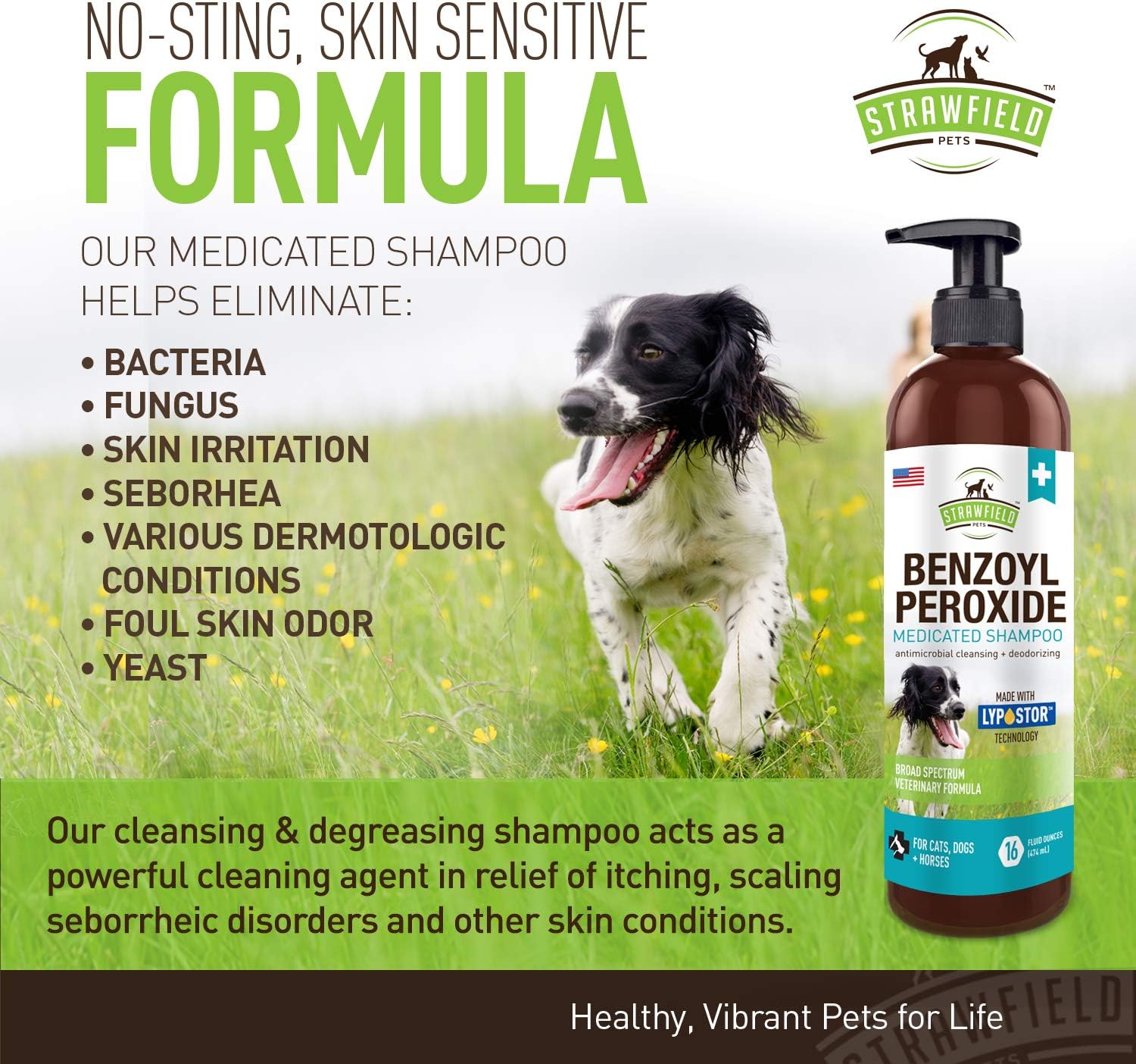 dog sulfur shampoo