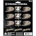 FANMATS NHL Unisex-Adult NHL Mini Decal 12-E2pk