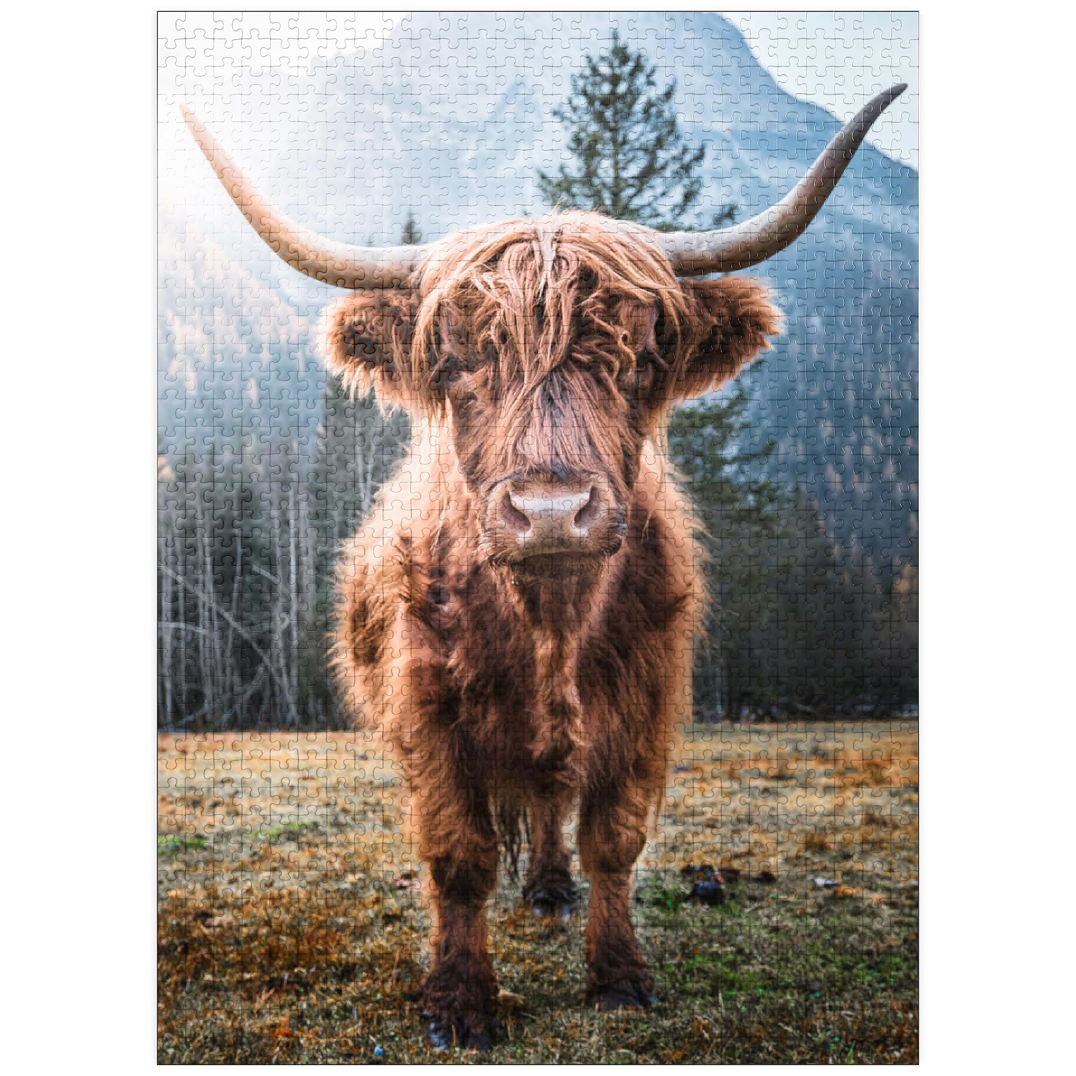 Photo 1 of MyPuzzle Highland Cattle in The Italian Dolomites - Premium 1000 Piece Jigsaw Puzzle for Adults