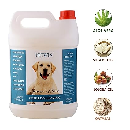 german shepherd czech lines