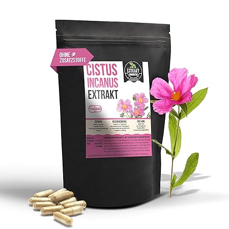Cistus Incanus EXTRAKT | 40% Polyphenole | 240 KAPSELN 400mg | Zistrose ohne Zusatzstoffe und laborgeprüft | extract capsules