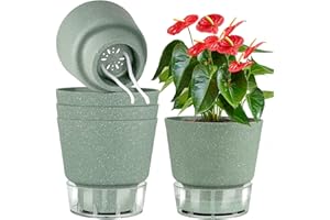 QRRICA Plant Pots 6 inch Self Watering Pots, 5 Pack Flower Pots Outdoor Indoor, Planters with Drainage Hole and Tray Saucer-Green