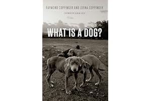 What Is a Dog?