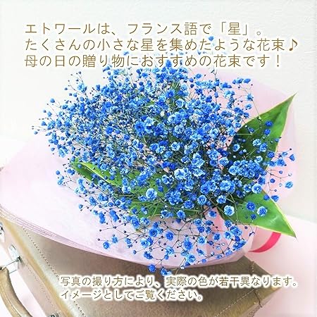 Amazon Co Jp 母の日限定 青いカスミソウ エトワール フランス語で星 お届け日 5月7日 金 5月9日 日 フロリスト花正 限定 花束 カラーリングフラワー ギフト 生花 お花 花 贈り物 女性 母 お母さん ママ プレゼント カスミソウ 花ギフト