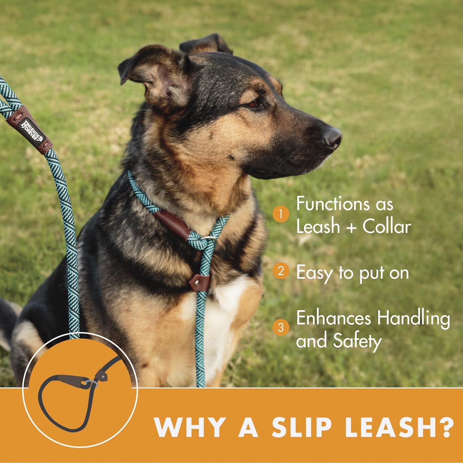 Friends Forever Extremely Durable Dog Slip Rope Leash, Premium Quality