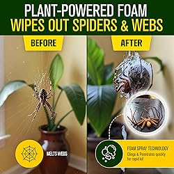 Green Guard Pest Control Spray - Indoor & Outdoor