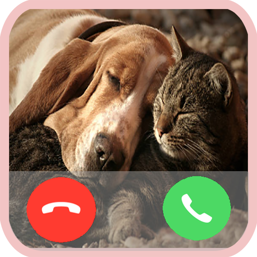 Pet Animal Call