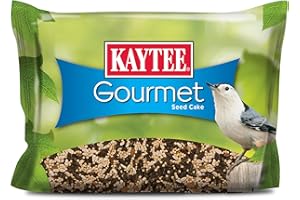 Kaytee Wild Bird Gourmet Seed Cake For Cardinals, Chickadees, Juncos, Titmice, Woodpeckers and More, 2 Pounds