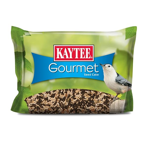 KAYTEE WILD BIRD GOURMET SEED CAKE FOR CARDINALS, CHICKADEES, JUNCOS, TITMICE, WOODPECKERS AND MORE, 2 POUNDS