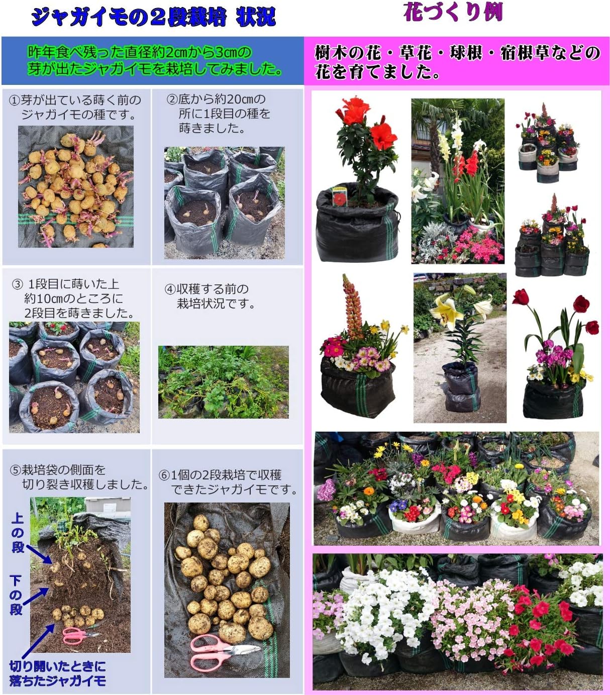 Amazon メッシュ栽培袋uv黒pe 10枚 花 野菜のコンテナ 根の環境を助長した通気性 通水性 高さ自在調整 鉢 プランター