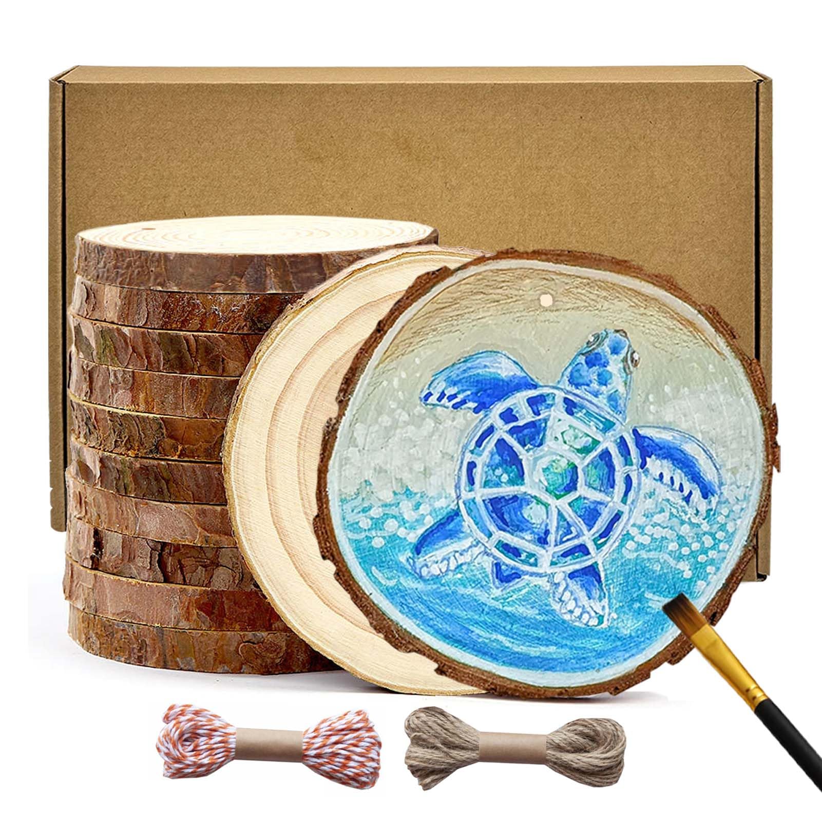 BIOGRAT Wood Slices for Crafts 10-11cm, 12 Pcs Wooden Discs with 2 Ropes pre-drilled, 1cm Thick for Craft DIY Christmas Ornaments