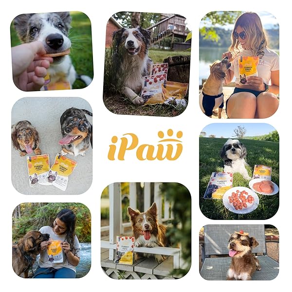 IPAW DOG TREATS FOR PUPPY TRAINING, ALL NATURAL HUMAN GRADE DOG TREAT, HYPOALLERGENIC, EASY TO DIGEST (CHICKEN AND CHEESE BITES)