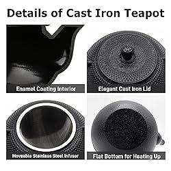 Cast Iron Tea Pot Set, Japanese Tetsubin Tea Kettle