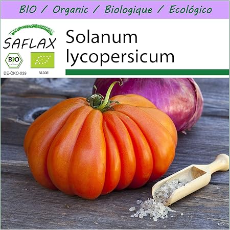 SAFLAX - BIO - Tomate - Ochsenherz - 10 Samen - Solanum lycopersicum