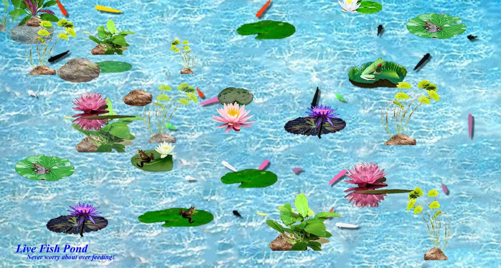 Top 10 Best Live Aquarium Fish Screensaver Best of 2018 Reviews No