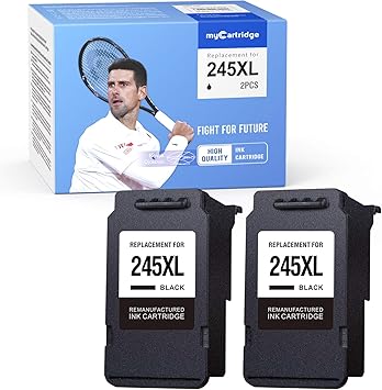 replace ink canon ts3122