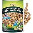 Living World – Millet Spray for Birds, 7 Oz – Premium Treat for Budgies, Canaries, Finches, Cockatiels and Other Pet Birds