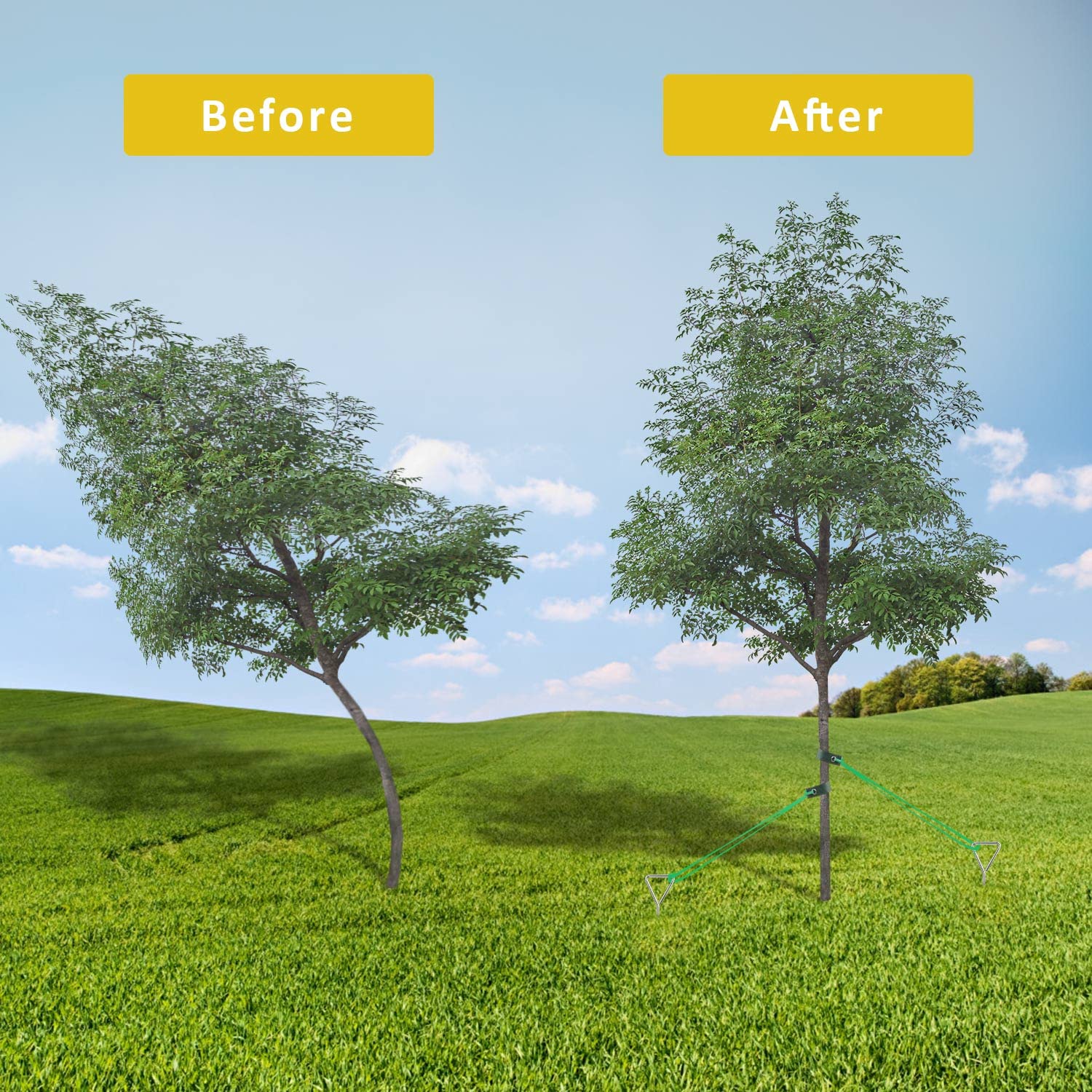 Mua Tree Stake Kit, Heavy Duty Spiral Tree Stakes for Leaning Trees ...