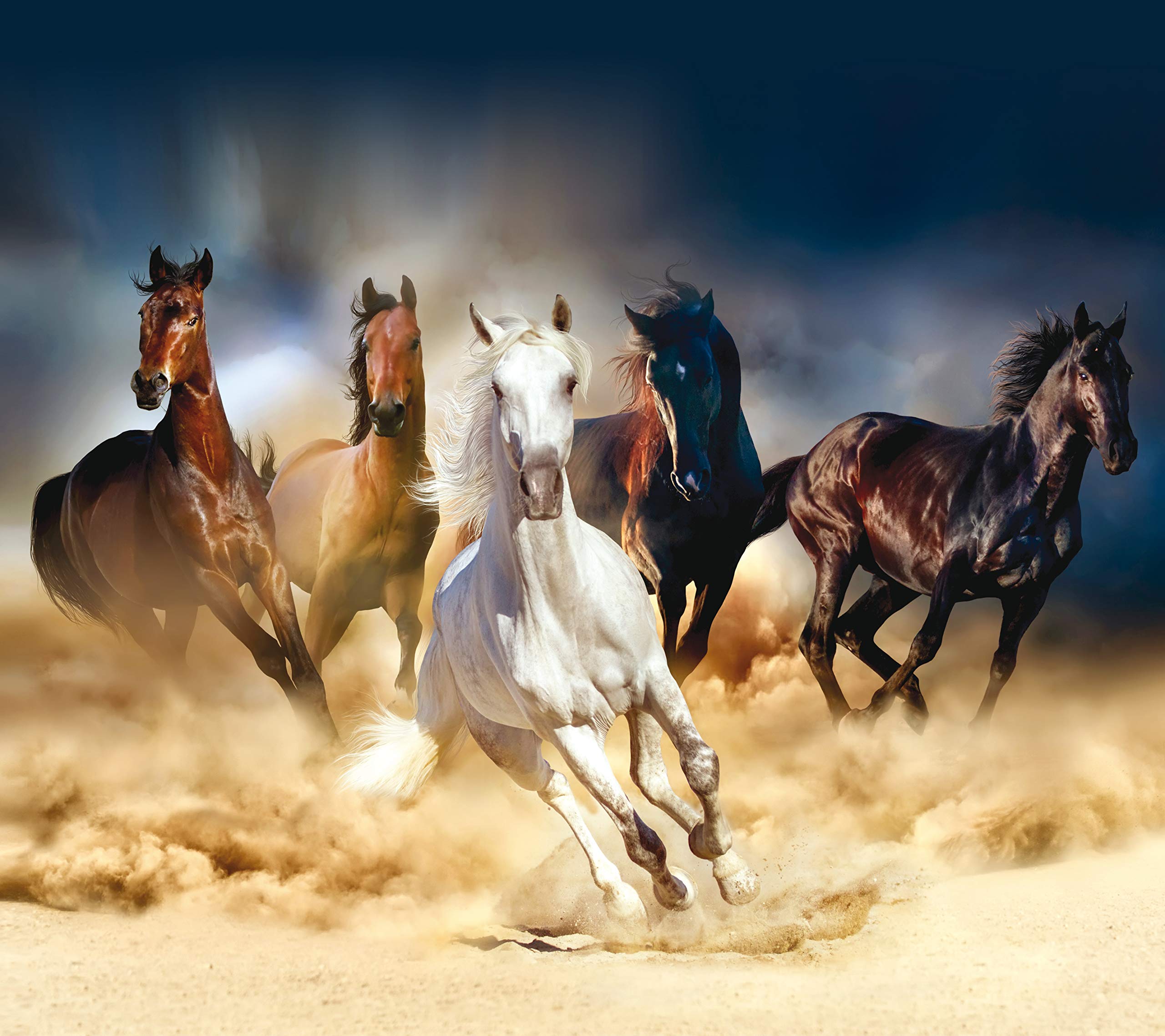 AG Design Energetisch FCS XL 4824 Galloping Horses Curtains for Living Room, Kitchen, Bedroom, Garden Shed, 180 x 160 cm, 2 Pieces, Multicoloured, H160 x B180 cm (1er Pack)