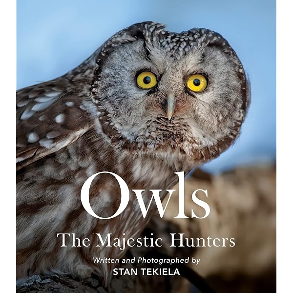 Owls of the World: A Photographic Guide | Amazon.com.br