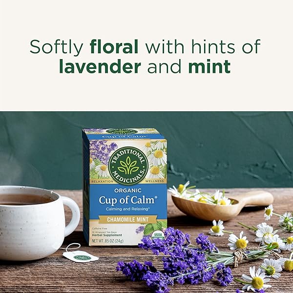TRADITIONAL MEDICINALS TEA, ORGANIC CUP OF CALM, CALMING & RELAXING WITH CHAMOMILE MINT, 16 TEA BAGS
