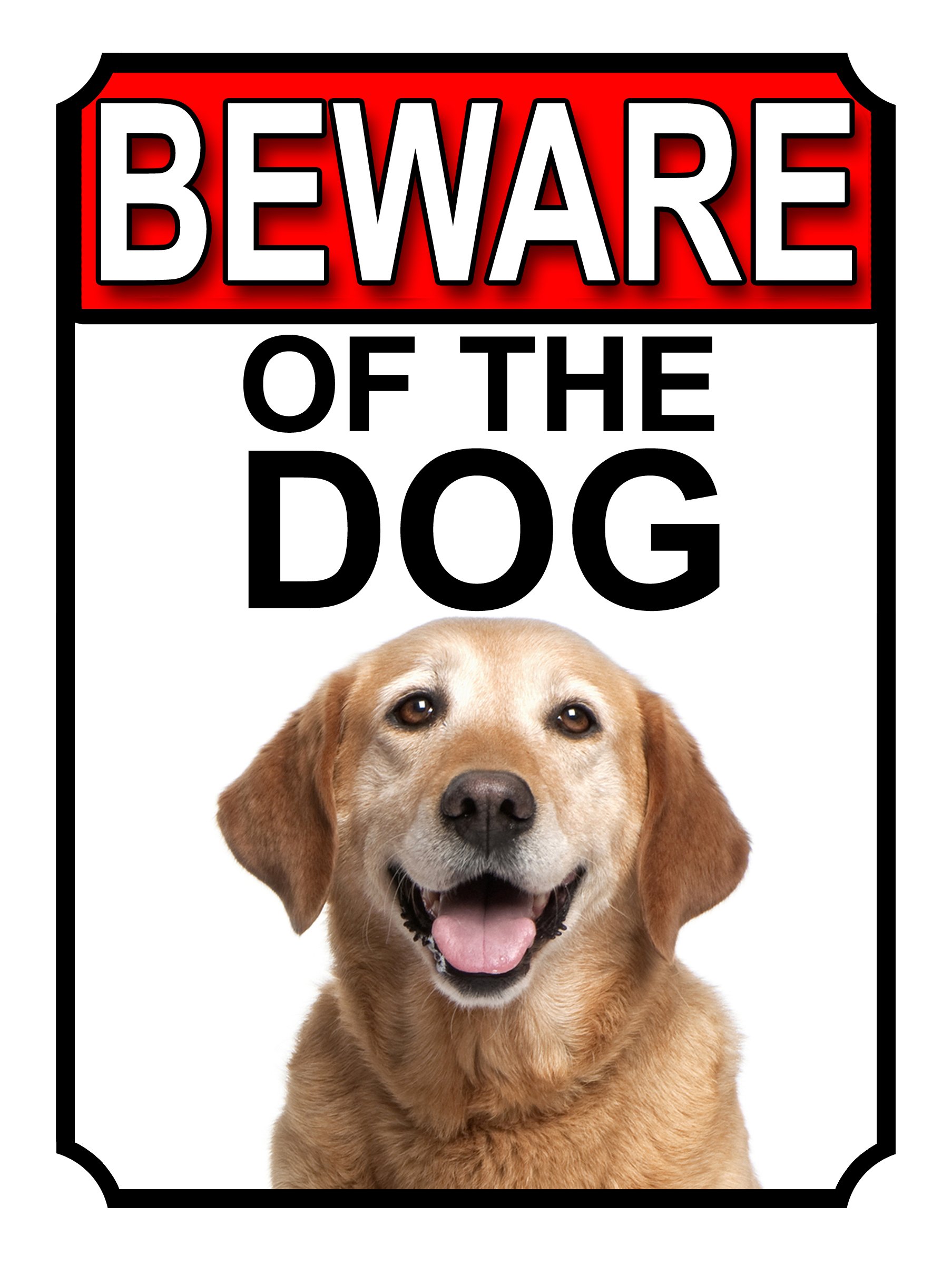 SHAWPRINT BEWARE OF THE DOG METAL GATE SIGN YELLOW LABRADOR 200MM X 150MM (1161H1)
