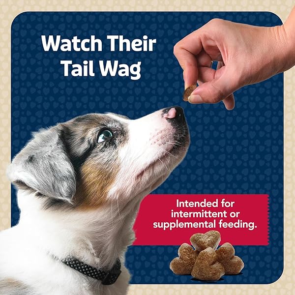 BLUE BUFFALO BITS SOFT DOG TREATS FOR TRAINING, MADE WITH NATURAL INGREDIENTS & ENHANCED WITH DHA, BEEF RECIPE, 19-OZ BAG