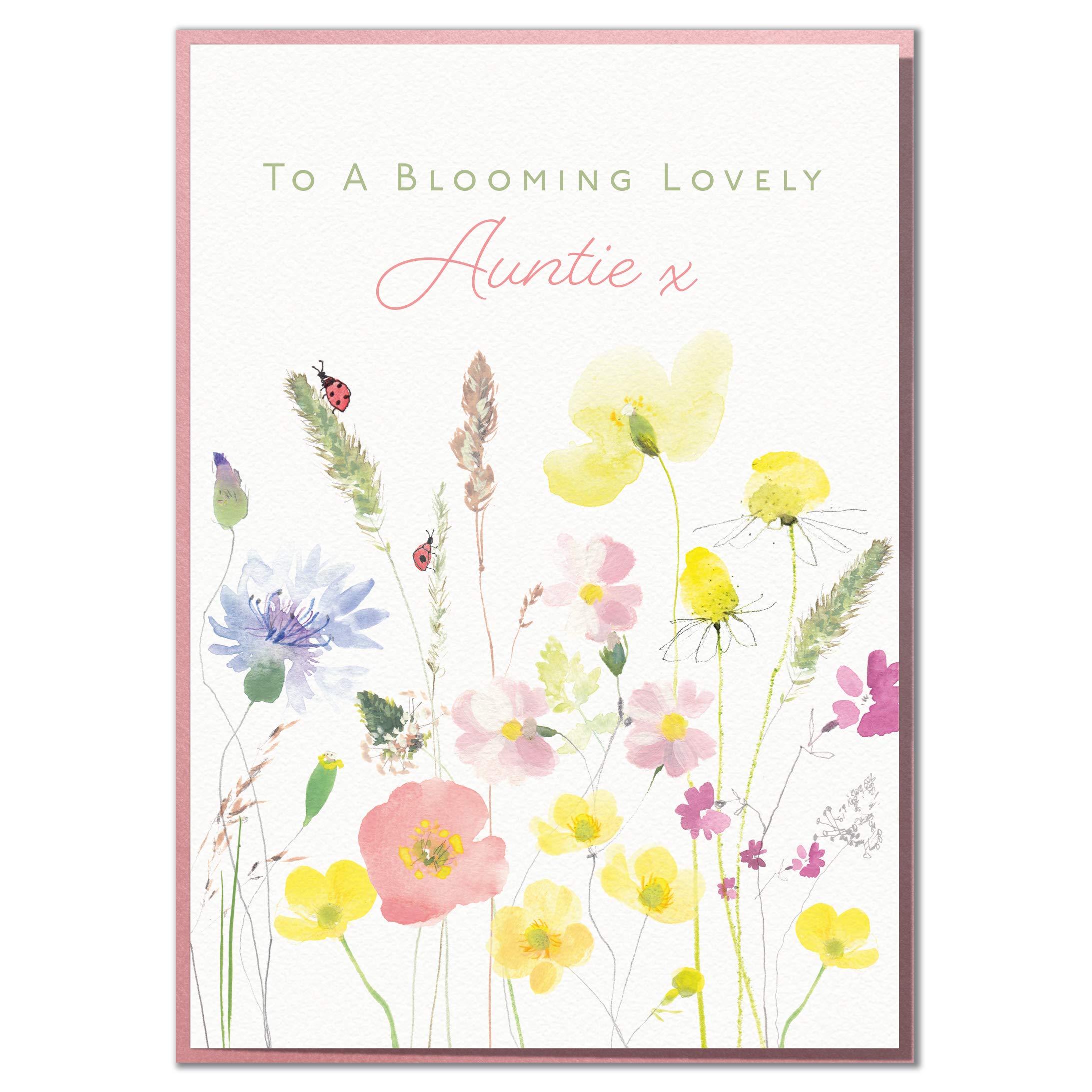 to A Blooming Lovely Auntie. Special Floral Birthday Card for A Wonderful Aunt