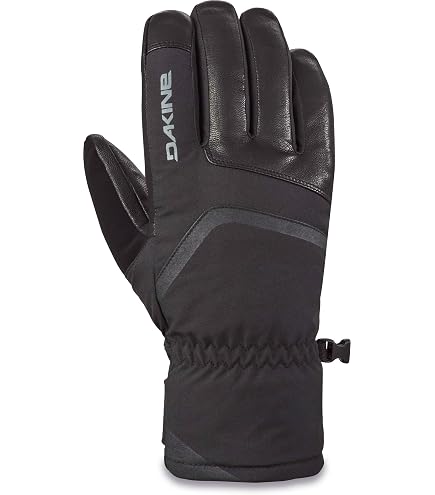 Amazon.com : Dakine Leather Titan Gore-TEX Gloves, Black, Medium
