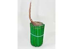 JENLYFAVORS Wired Wood Picks 6" Package of 400 Picks in Green