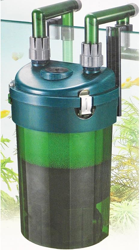 odyssea canister filter