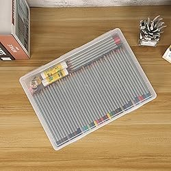 BTSKY Clear Plastic Storage Box with Flap