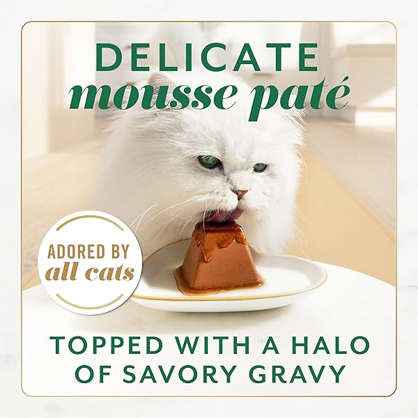 FANCY FEAST GEMS PATE CAT FOOD MOUSSE WITH CHICKEN AND A HALO OF SAVORY GRAVY CAT FOOD – (PACK OF 8) 4 OZ. BOXES