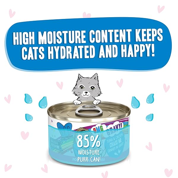 WERUVA B.F.F. OMG – BEST FELINE FRIEND OH MY GRAVY!, TUNA & CHICKEN CHASE ME WITH TUNA & CHICKEN, 2.8OZ CAN (PACK OF 12)