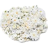 Artificial Champagne White Flowers Bulk Silk Roses Fake Flowers Heads for Crafts - DIY Home Garden Floral Party Garland Wedding Decor Mini Big Small Faux Fabric Flowers Heads 2-12cm (White Champagne)