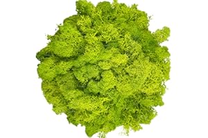 GUSALOO Moss Preserved Artificial Moss for Potted Plants Natural Fresh Green Moss for Crafts Arts Floral Project Wall Decor fake Moss Wedding Centerpieces Garden Terrariums Decoration Light-Yellow Green 3.5OZ