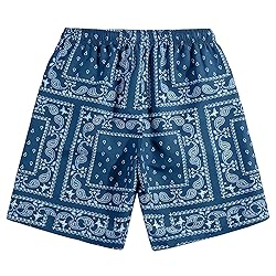 DIOTSR Mens Paisley Casual Shorts Retro Graphic