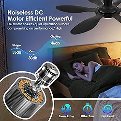Ceiling Fans with Lights, 51 inch Modern Black Low