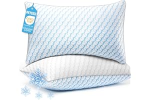 HEYCUZI Pillows Queen Size 2 Pack for Sleeping - Hotel Pillows Premium Down Alternative Bed Cooling Pillow for Side, Back, an