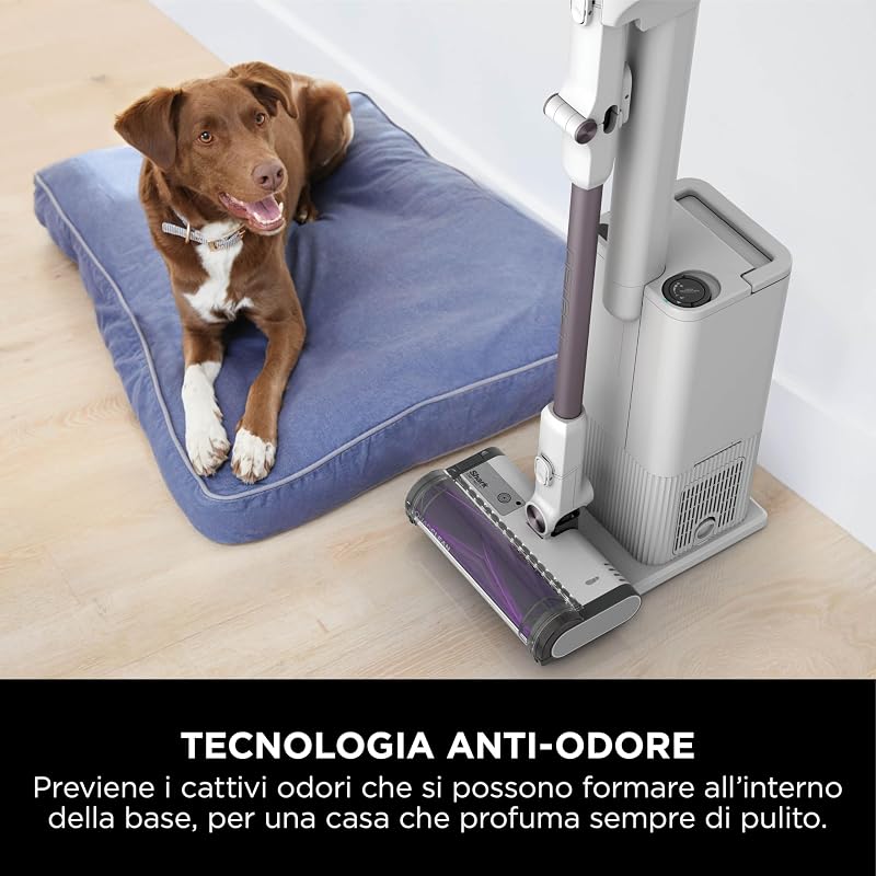 Detect Clean & Empty, Aspirapolvere senza Fili, 60 Min, Bianco