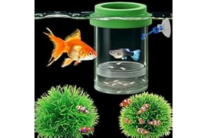 HOMEDY CRAFTS Betta Guppy Breeding Box for Fish Tank and Artificial Plants, Floating Guppy Breeding Box with Suction Cups, Acrylic Breeder Isolation Incubator for Aquarium Tank, Hatchery Breeder Chamber (Green, M)