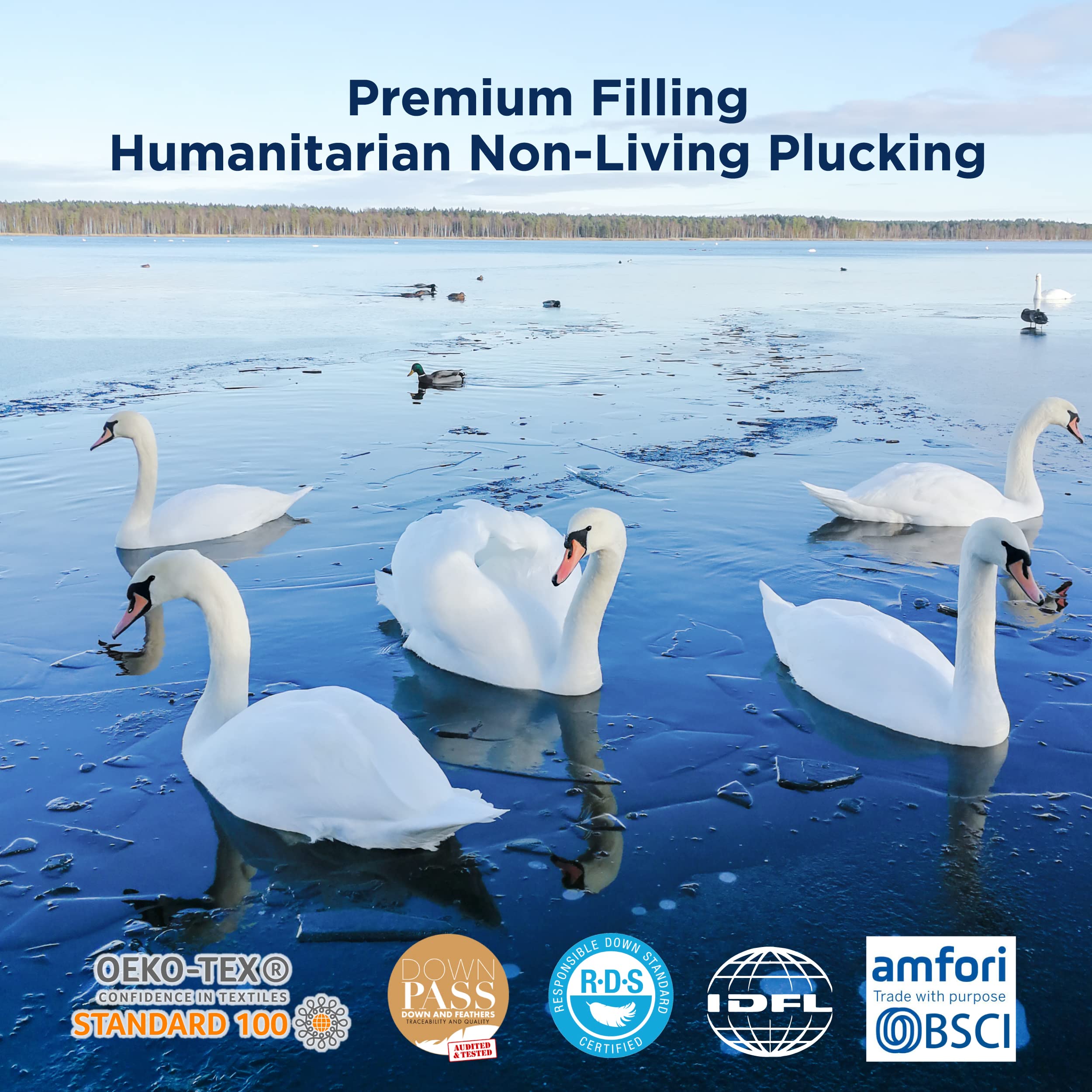 Bedsure Goose Down Comforter Queen Size Feather Down Comforter Queen