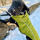 Mile High Life Dog Raincoat Adjustable Waterproof Lightweight Lime XS view 5
