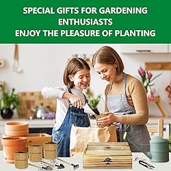 Bonsai Tree Kit for Beginners, DIY Growing Kits