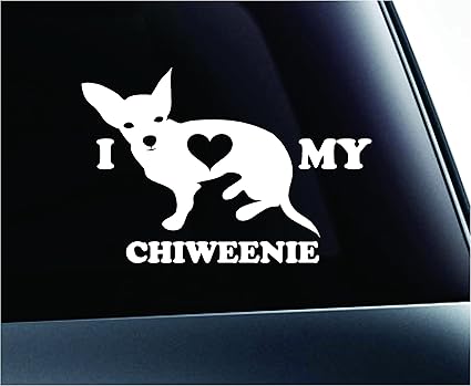 i love my chiweenie