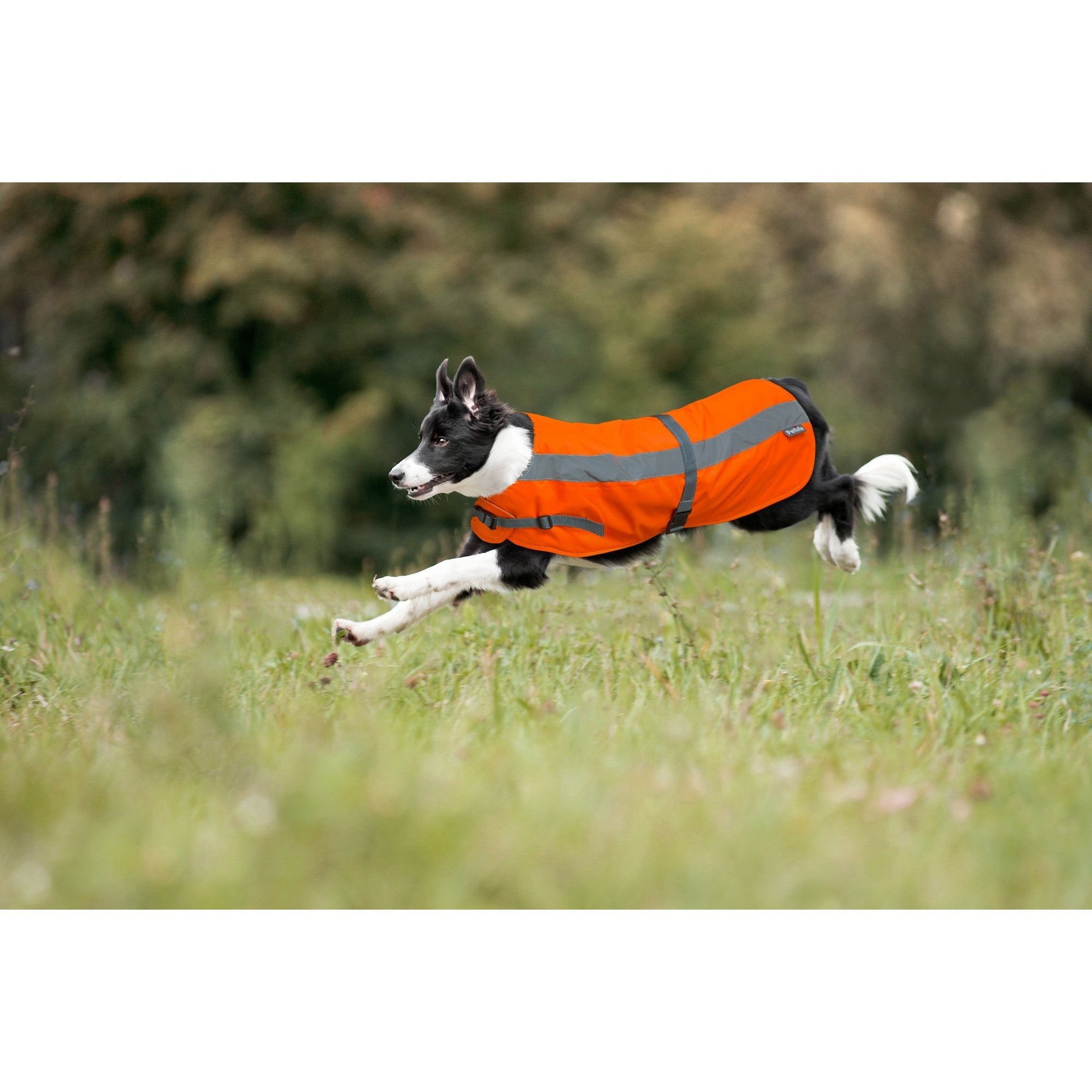 Flectalon 3 in 1 Dog Jacket, 20-Inch, Camouflage