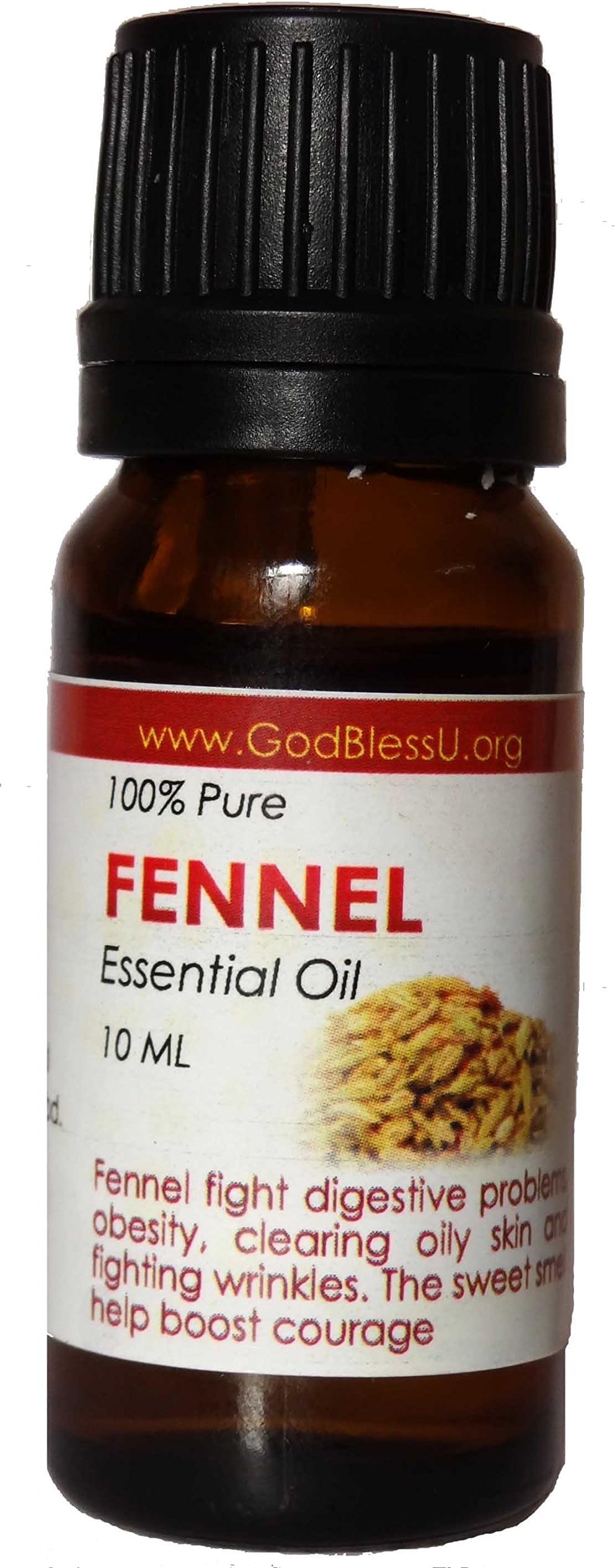 GodBlessU Fennel Essential Oil, Pure 10ml.