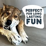 Petface Outdoor Paws Mighty Bone Dog Toy Extra Strong view 4